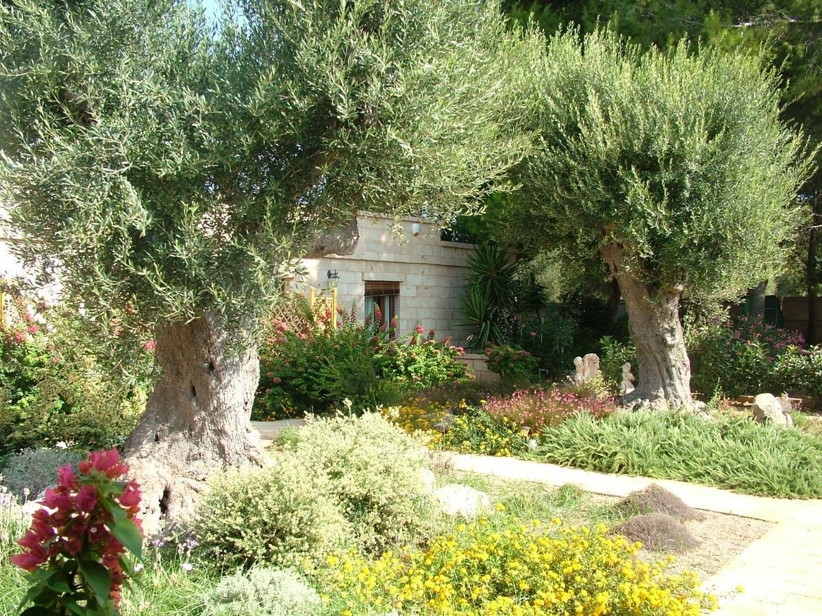 Villa Urania Torre San Giovanni Exterior foto